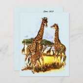 De Giraffe familie - Feestdagenkaart (Voorkant / Achterkant)