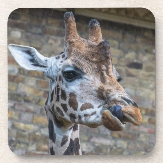 De Giraffe sluit omhoog onderzetters (Voorkant)