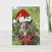 De Giraffe van Kerstmis Feestdagen Kaart (Voorkant)