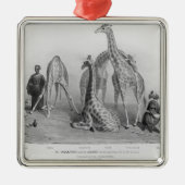 De Giraffes met de Arabieren Metalen Ornament (Voorkant)