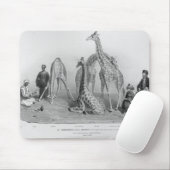 De Giraffes met de Arabieren Muismat (Met muis)
