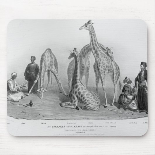 De Giraffes met de Arabieren Muismat (Voorkant)
