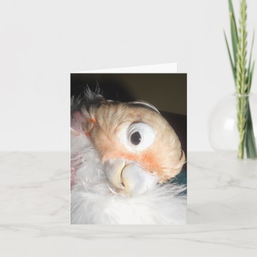 De Glamour van Ella Kaart (Voorkant)