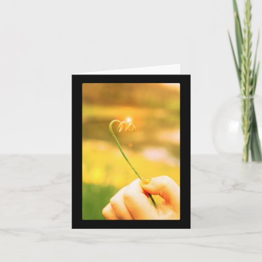 De glanzende Stam van de Krul van de Ui Kaart (Voorkant)