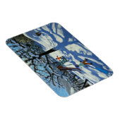 De glijbaan in de winter Bourg St. Moritz Magneet (Rechterzijde)