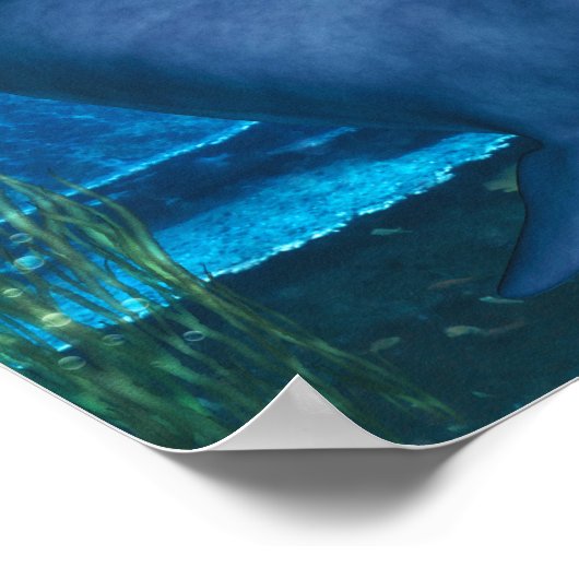 De glimlach van de oceaan poster (Hoek)