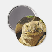 De glimlach van de schildpad magneet (Voorkant / Achterkant)
