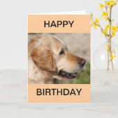 De glimlach van een labrador kaart (Gele Bloem)