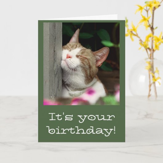 De glimlachende Kaart van de Verjaardag van de Kat (Gele Bloem)