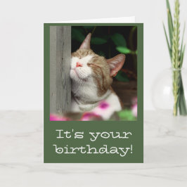 De glimlachende Kaart van de Verjaardag van de Kat