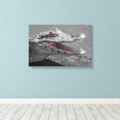 De glimlachende krokodil en de vliegen canvas afdruk (Insitu (Houten vloer))