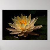 De gloed poster (Voorkant)