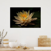 De gloed poster (Keuken)