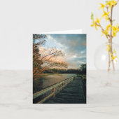 De Gloed van de zonsondergang op notecards van de Kaart (Gele Bloem)