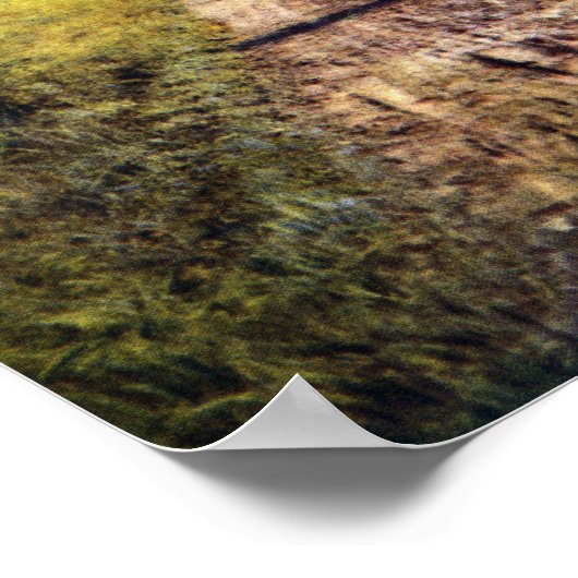 De glorie van de herfstbomen poster (Hoek)