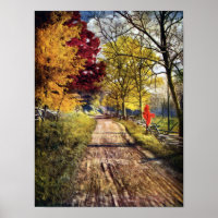 De glorie van de herfstbomen