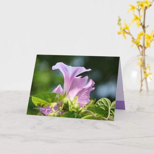 De glorie van de ochtend 2 kaart (Gele Bloem)