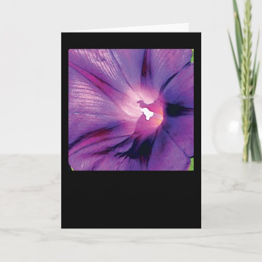 De Glorie van de ochtend Kaart (Voorkant)