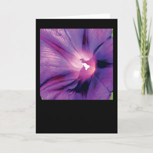 De Glorie van de ochtend Kaart