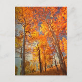 De Glorie van espen Briefkaart (Voorkant)