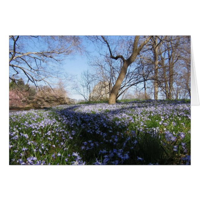 De glorie van lente-Kaart (Voorkant Horizontaal)