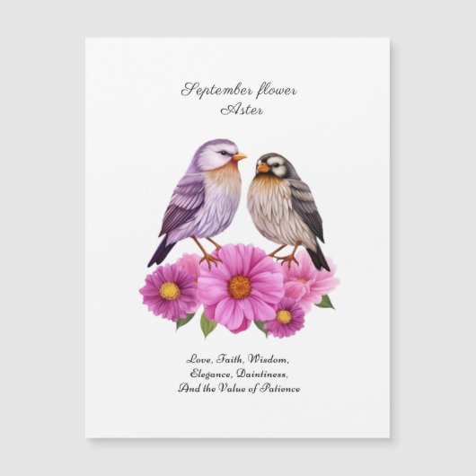 De glorieuze bloem van september - Aster (Voorkant)