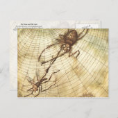 De gnat en de leeuw briefkaart (Voorkant / Achterkant)