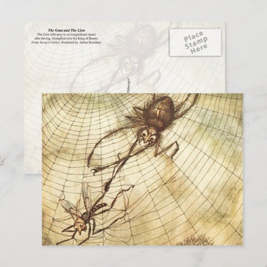 De gnat en de leeuw briefkaart (Voorkant / Achterkant)