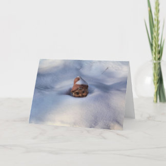 De Gnoom van de sneeuw Kaart