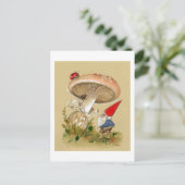 De gnoom vindt een Lieveheersbeestje en een Briefkaart (Staand voorkant)