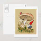 De gnoom vindt een Lieveheersbeestje en een Briefkaart (Voorkant / Achterkant)