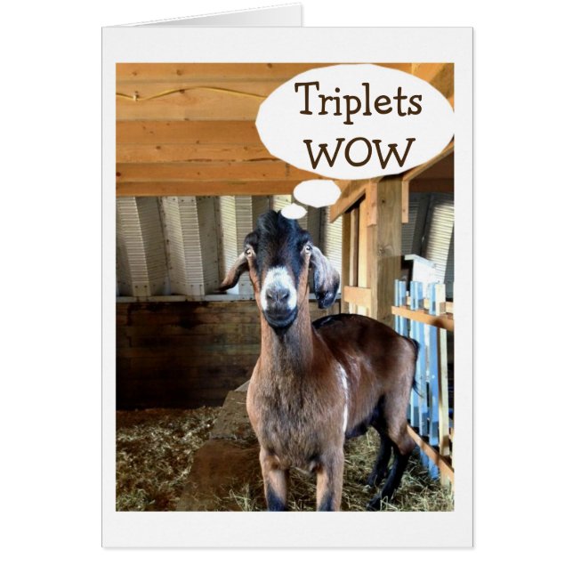 DE GOAT IS ZODANIG EXCICITED=TRIPLETS=TRIPLE DE LO (Voorkant)