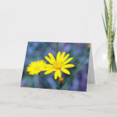 De God van mei geeft u Vrede (binnen) Kaart (Voorkant)