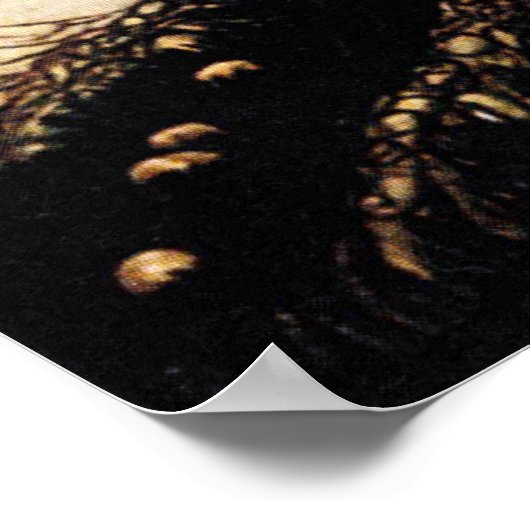 De godin Freyja Poster (Hoek)