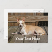 De Godin van de zon Briefkaart (Voorkant / Achterkant)