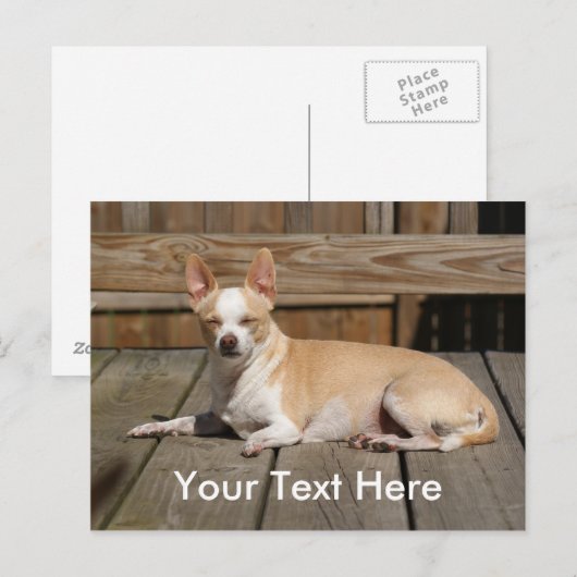 De Godin van de zon Briefkaart (Voorkant / Achterkant)