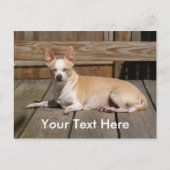 De Godin van de zon Briefkaart (Voorkant)