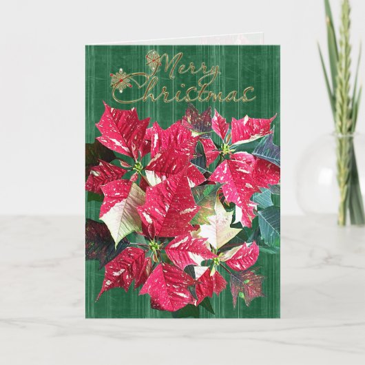 De godsdienstige Kerstkaart van de Poinsettia van Feestdagen Kaart (Voorkant)