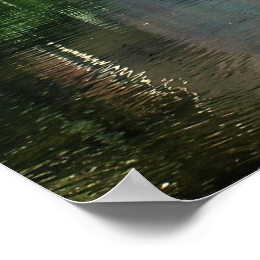 De Golden deur van Bok Tower Poster (Hoek)