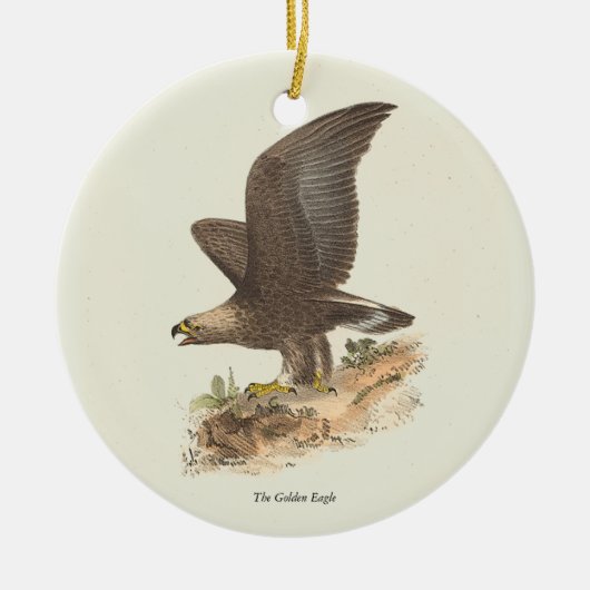 De Golden Eagle (Aquila chrysaetos) NY Bird Afbeel Keramisch Ornament (Voorkant)