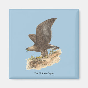 De Golden Eagle (Aquila chrysaetos) NY Bird Afbeel Magneet