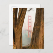 De Golden Gate Bridge | Bomen uit Uitzicht over de Briefkaart (Voorkant / Achterkant)