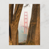 De Golden Gate Bridge | Bomen uit Uitzicht over de Briefkaart (Voorkant)