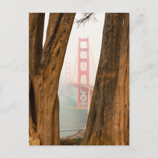De Golden Gate Bridge | Bomen uit Uitzicht over de Briefkaart (Voorkant)
