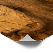 De Golden Gate Bridge | Bomen uit Uitzicht over de Poster (Hoek)