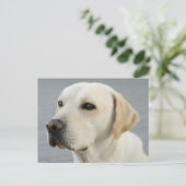 De Golden Labrador Briefkaart (Staand voorkant)