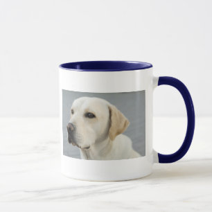 De Golden Labrador Mok