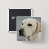 De Golden Labrador Vierkante Button 5,1 Cm (Voorkant /achterkant)