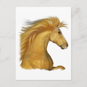 De Golden Palomino Briefkaart