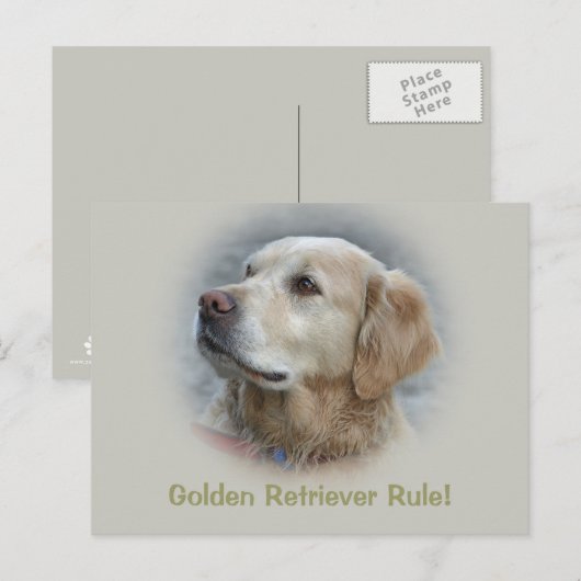 De Golden Retriever Rule! -Kaart Briefkaart (Voorkant / Achterkant)